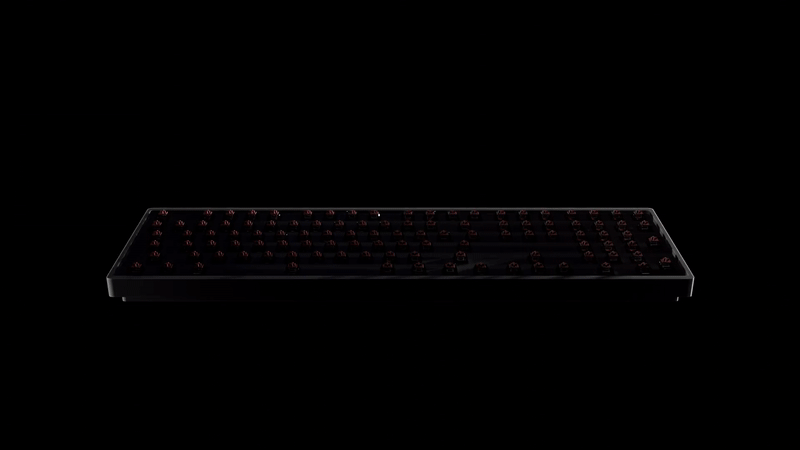 3D Scene